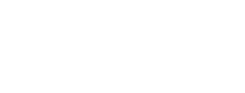 The cad bros
