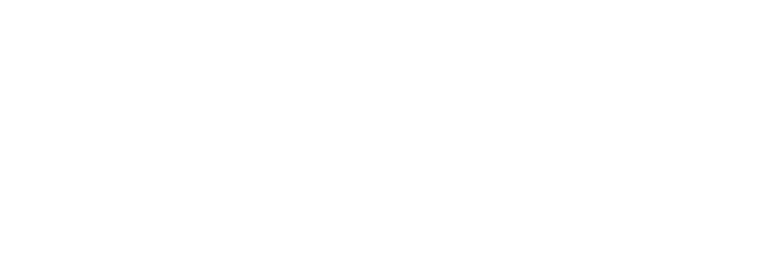 The cad bros